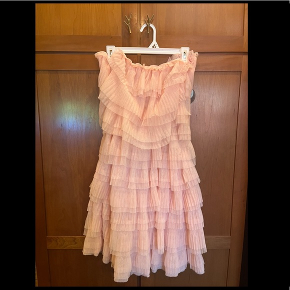 🎉HOST PICK!🎉! Eva Franco Victoire Tiered Tulle Mini Dress - Anthropologie - Picture 4 of 10